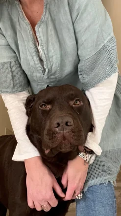 Lola Attitude Linen Dress, Rainy Blue